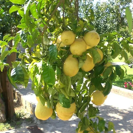 Casa de Férias Claudia *